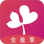 含羞草传媒app每天免费三次最新版