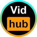 vidhub视频库安卓版