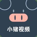 小猪视频人APP