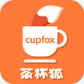 茶杯壶cupfox(茶杯狐)