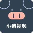 小猪视频app下载安装ios