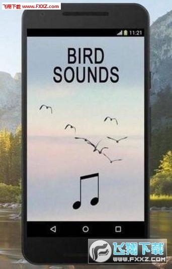 Bird Sounds软件