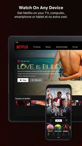 网飞netflix app官方手机版