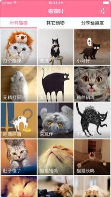 猫猫叫app